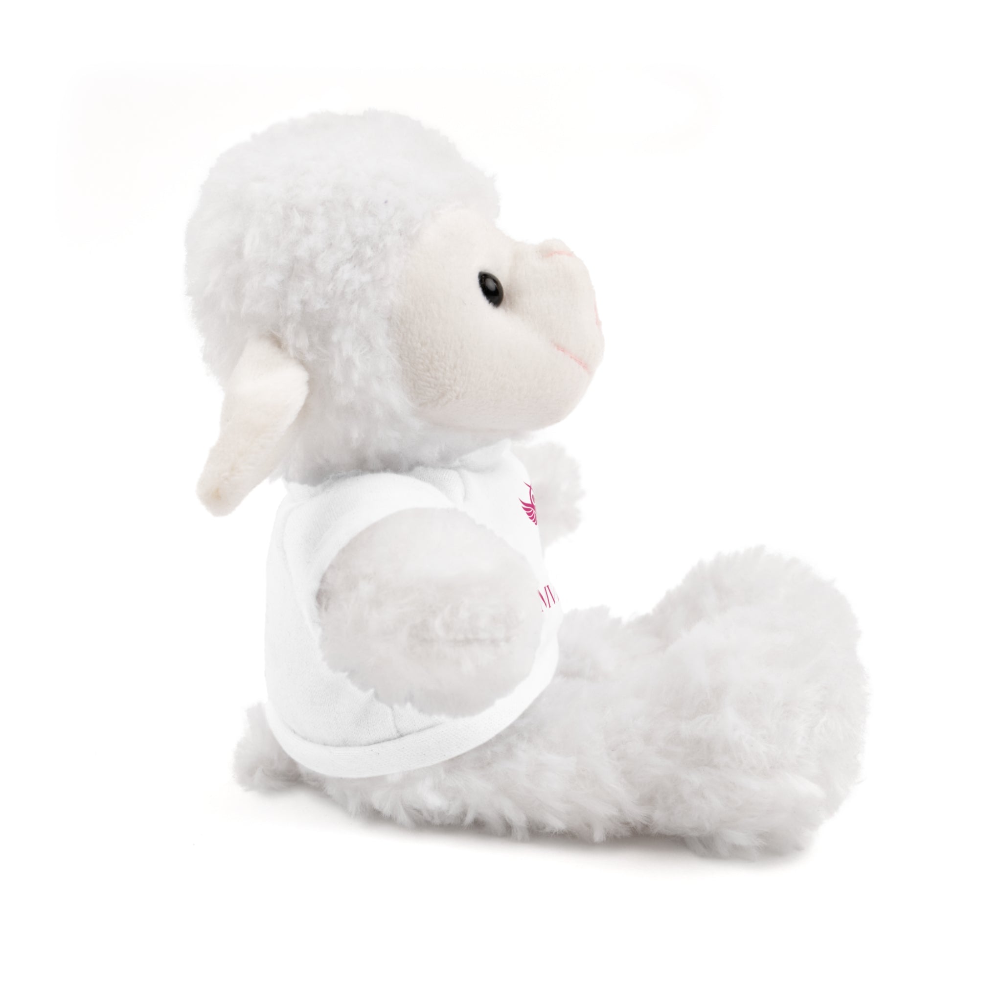 Animaux en peluche avec t-shirt