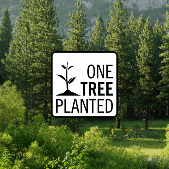 Donate to plant Trees